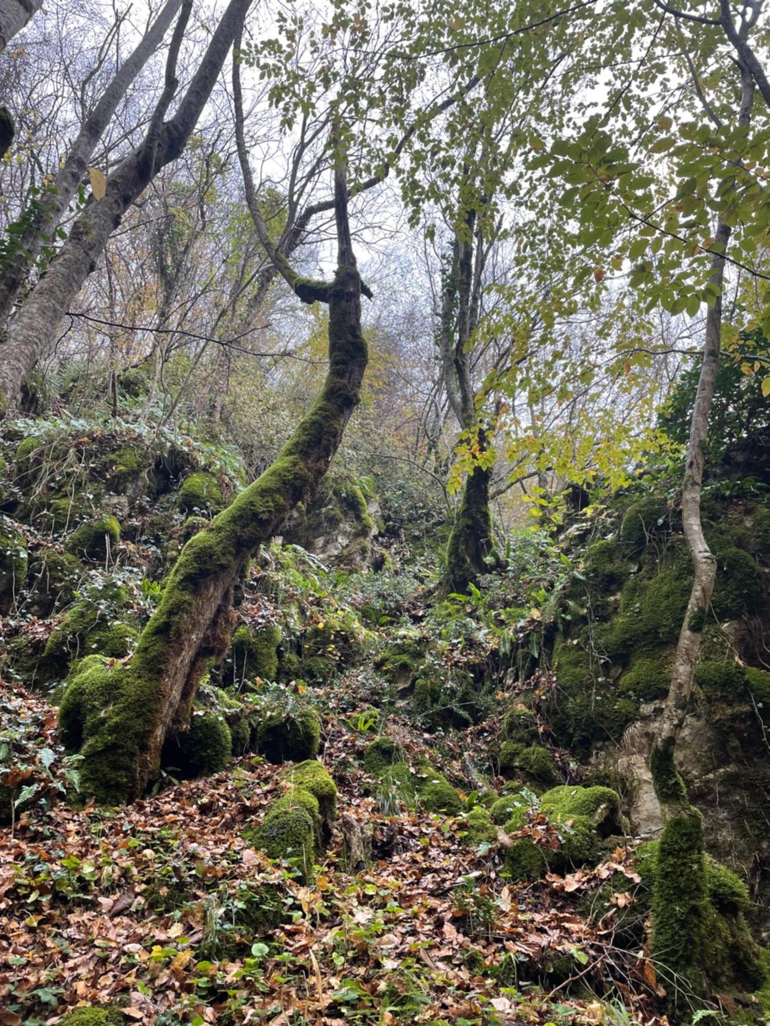 Mooie Bungalow In De Prachtige Natuur Hastiere-par-dela Eksteriør billede